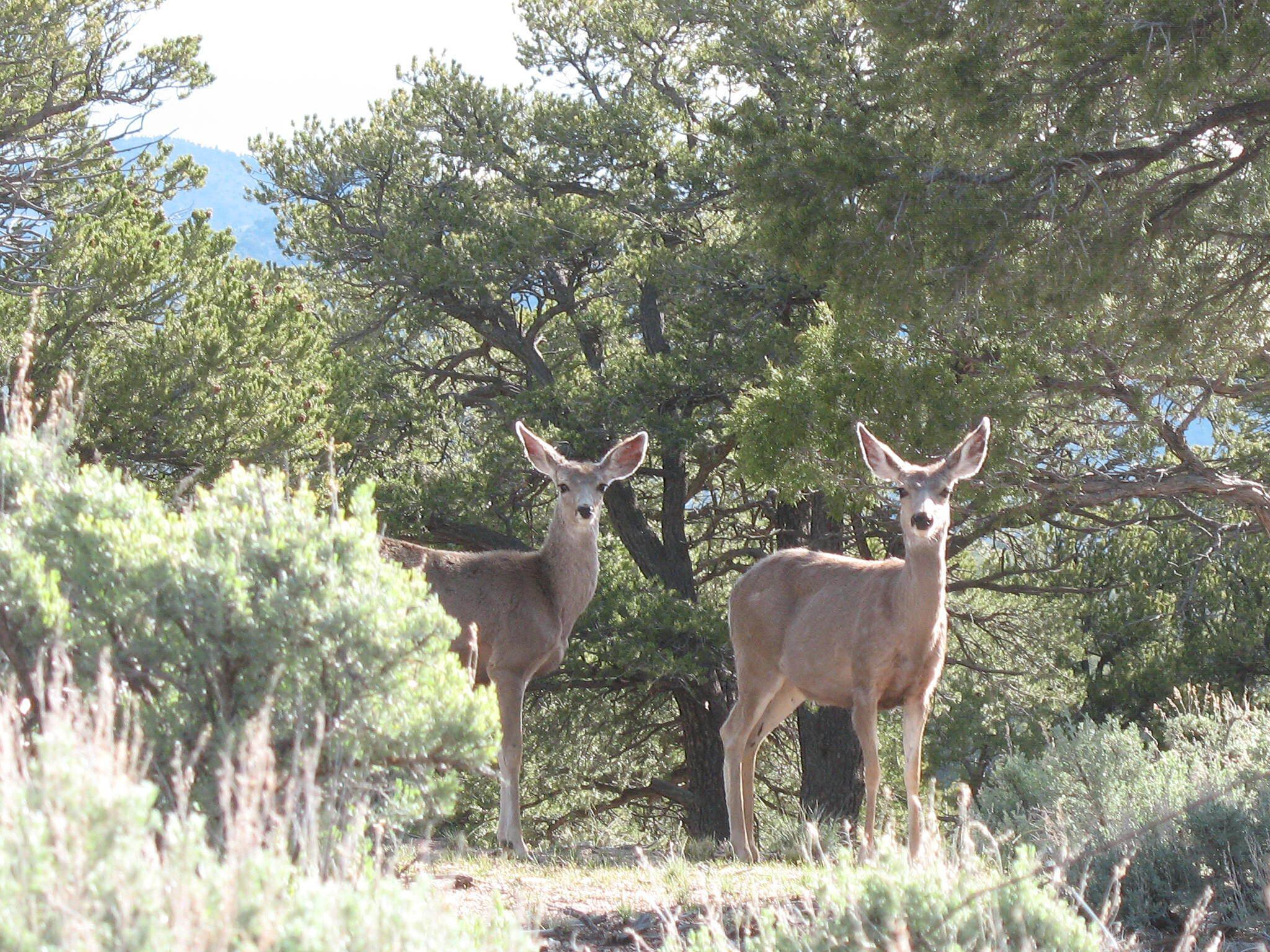 Economy and Activities