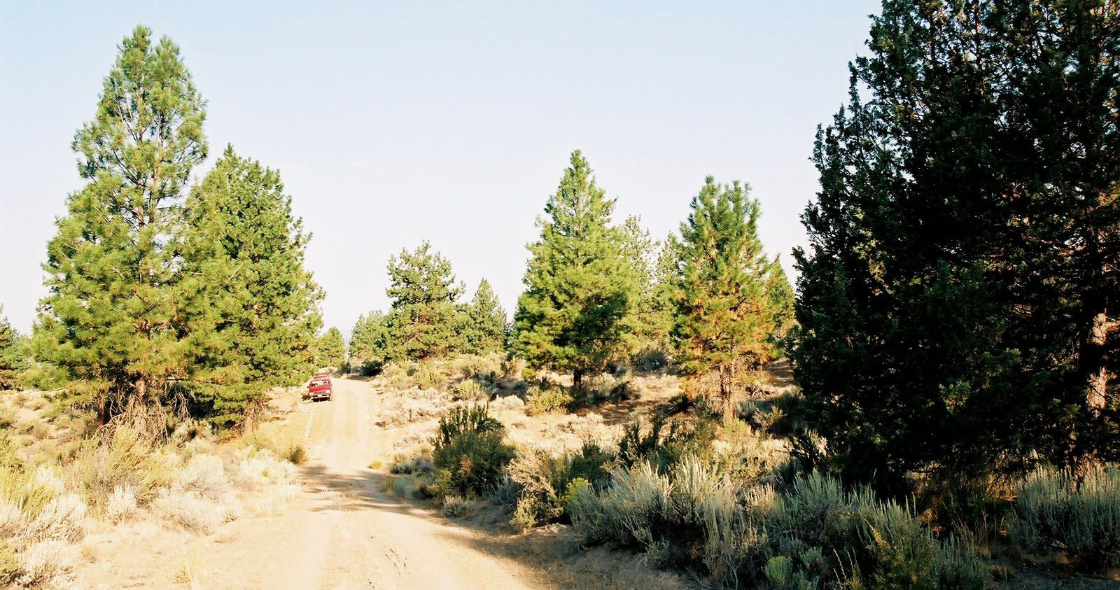 SRVA B6 L21 - photo 15