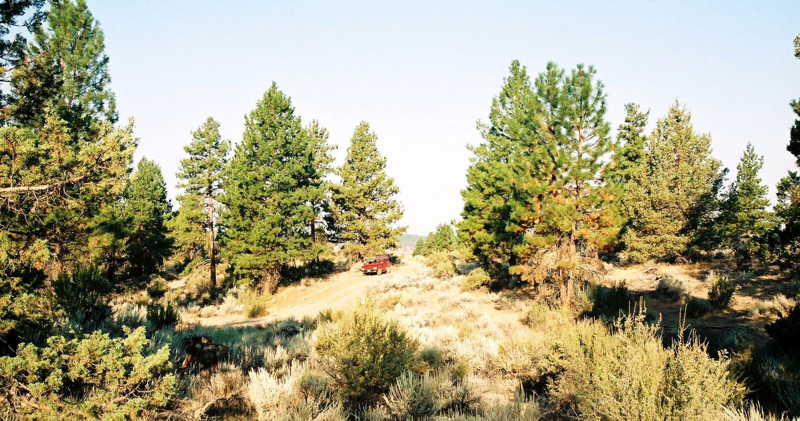 SRVA B6 L21 - photo 17