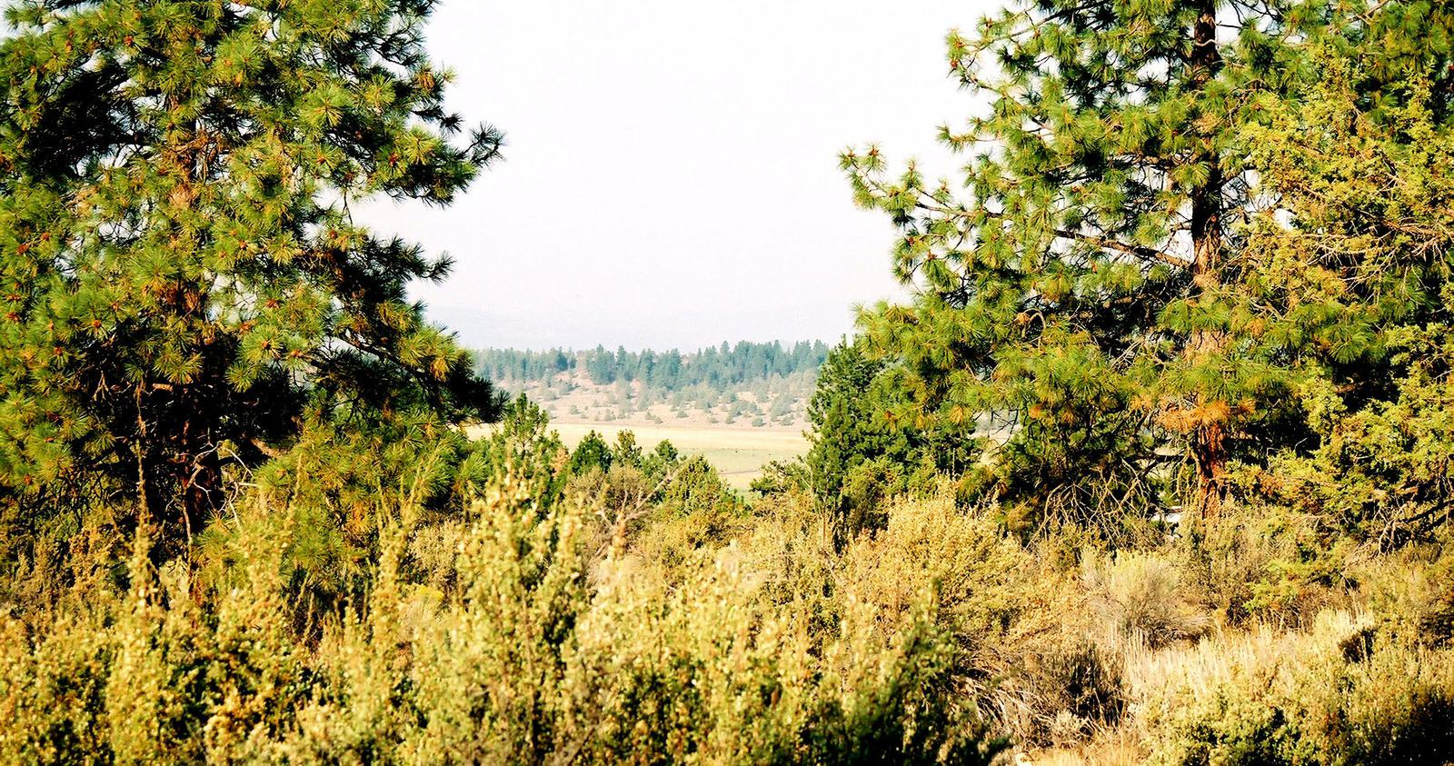 SRVA B6 L21 - photo 1