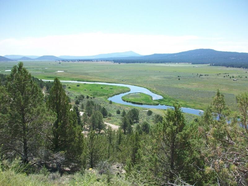 Topography & Vegetation