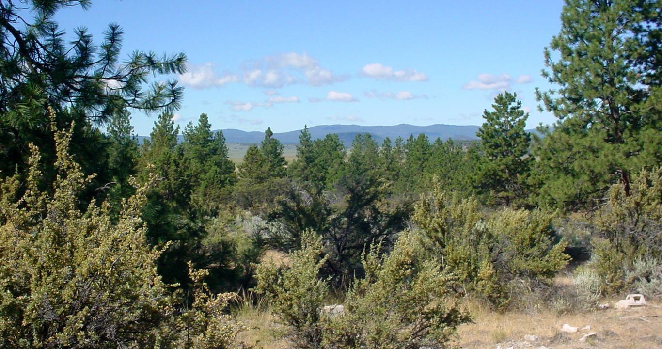 SRVA B6 L21 - photo 13