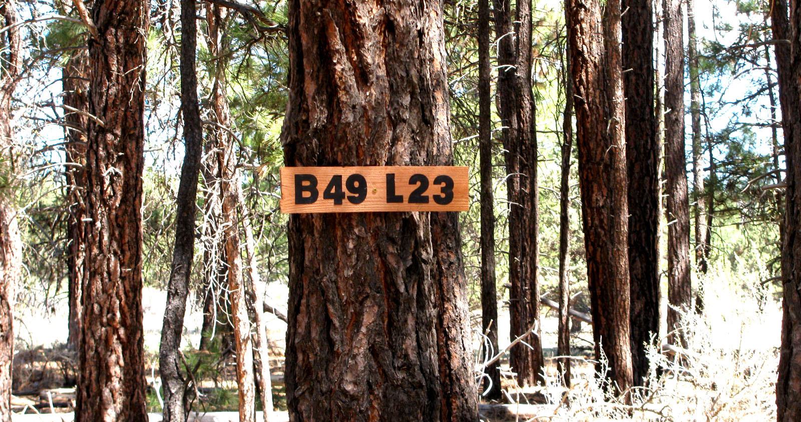 KFFE Unit 2 B49 L23