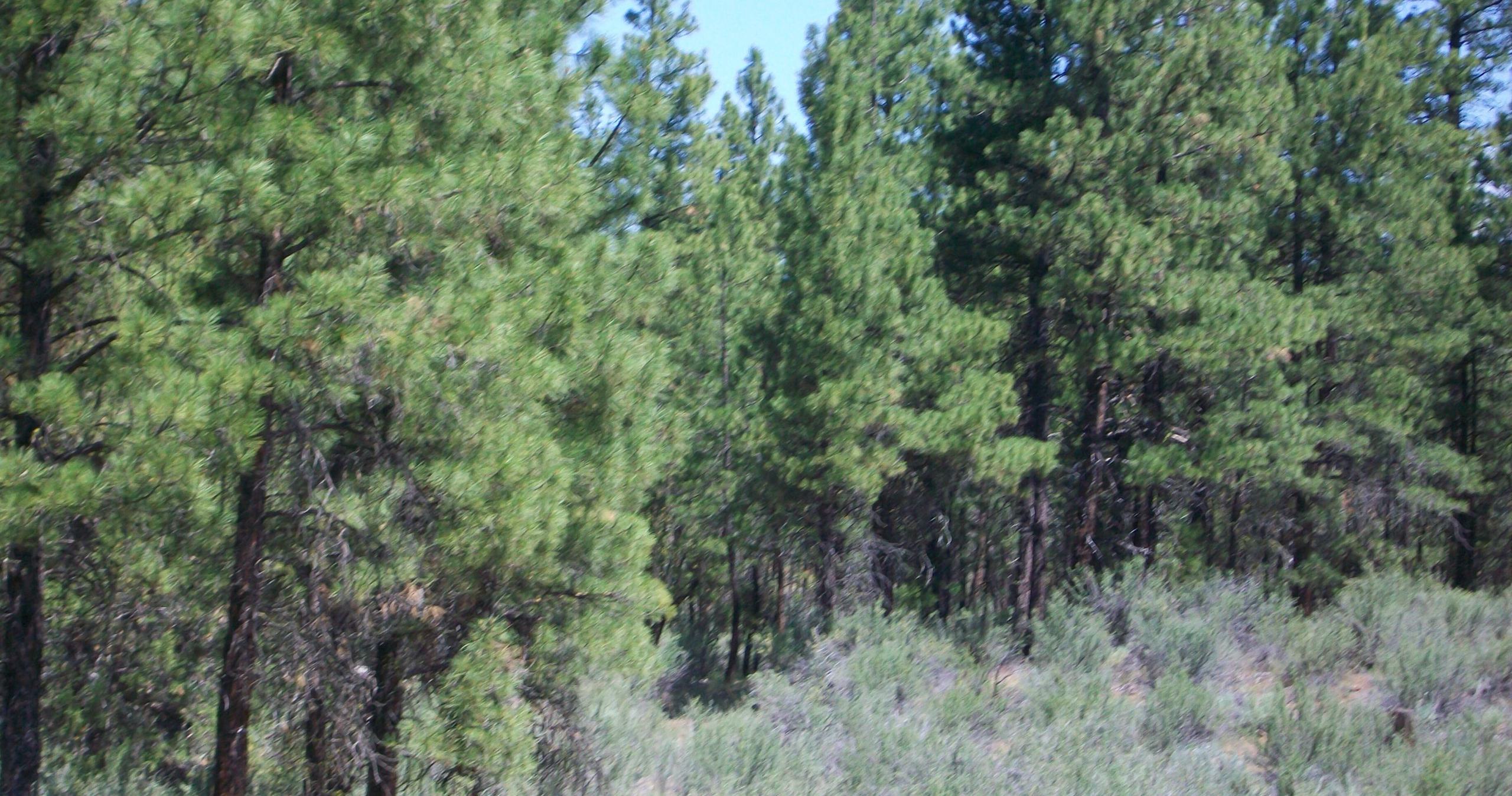 KFE B36 L28 - photo 11