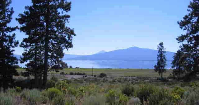 Oregon Shores B8 L14