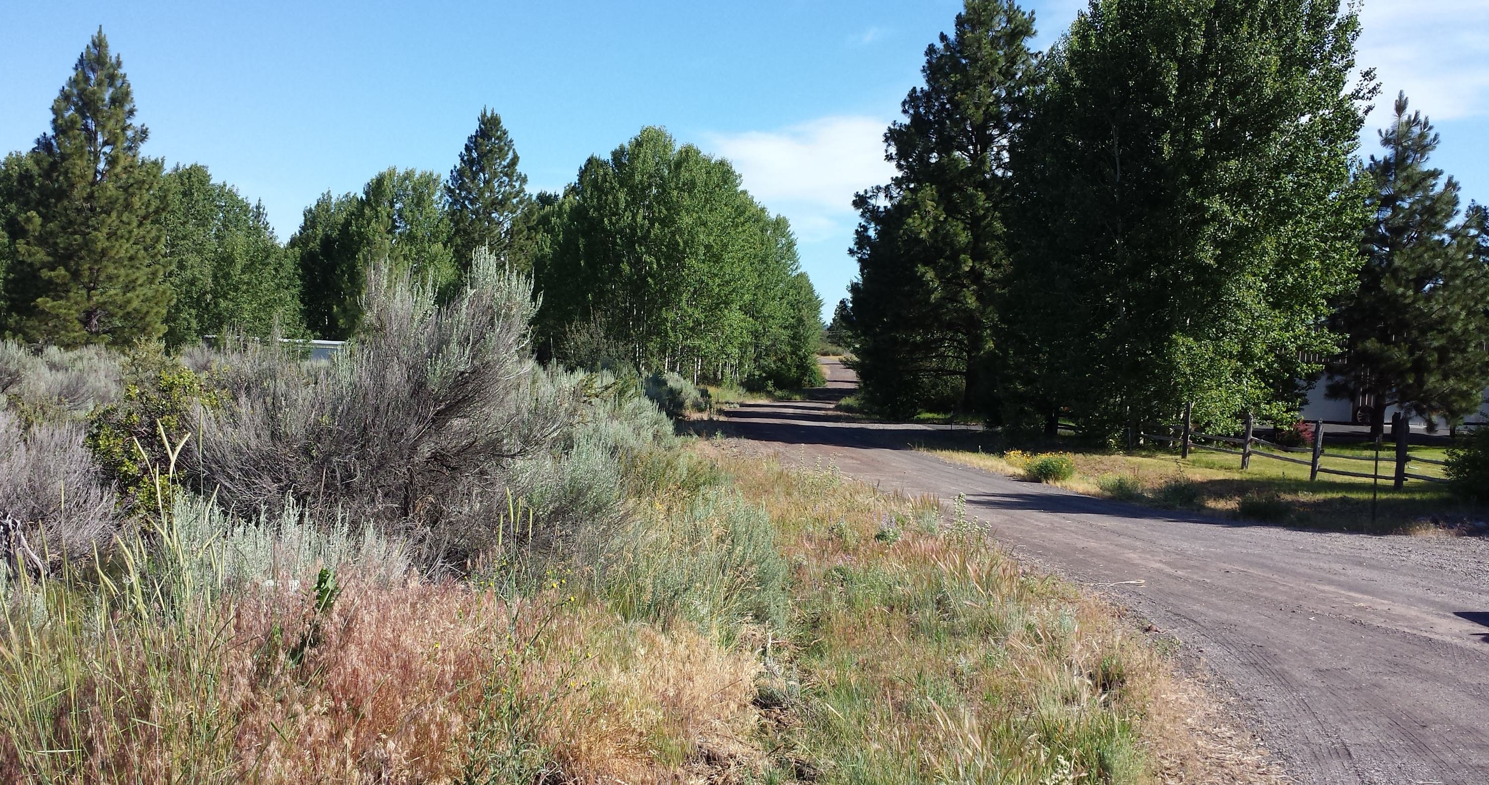 Oregon Shores B8 L14