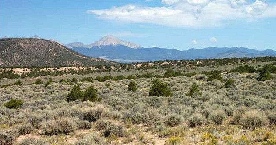 RGR B4 Lot 5 Unit 49