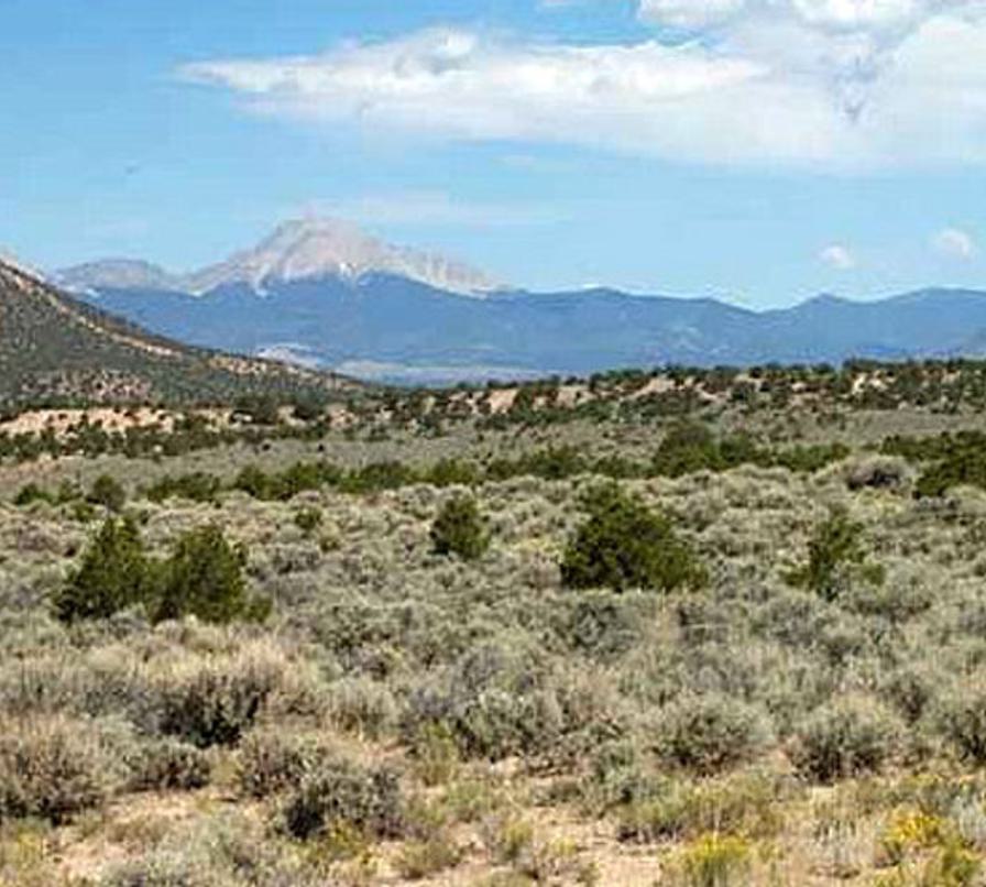 RGR B4 Lot 5 Unit 49