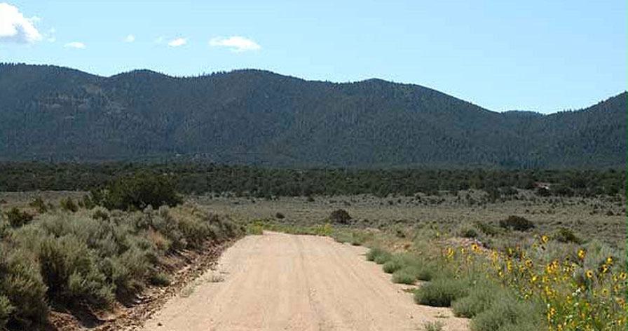 RGR B4 Lot 5 Unit 49