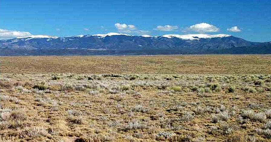 RGR B4 Lot 5 Unit 49