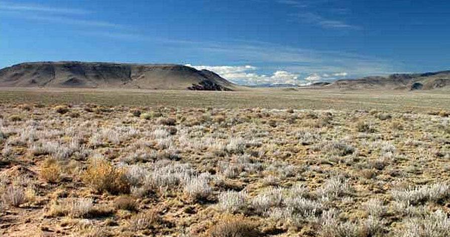 RGR B4 Lot 5 Unit 49