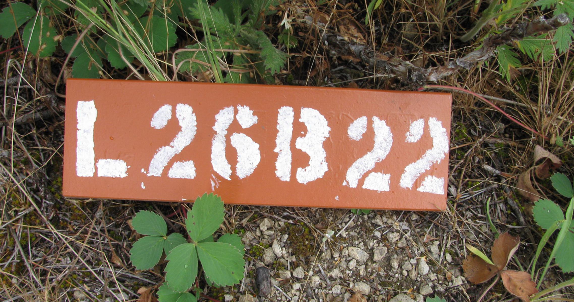 SRVA B20 L26
