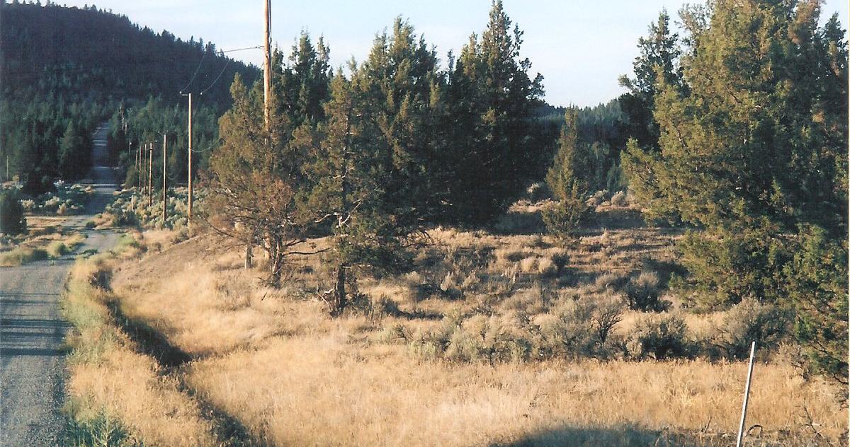MODOC B30 L36--CALIFORNIA