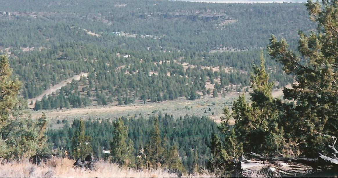 MODOC B30 L36--CALIFORNIA