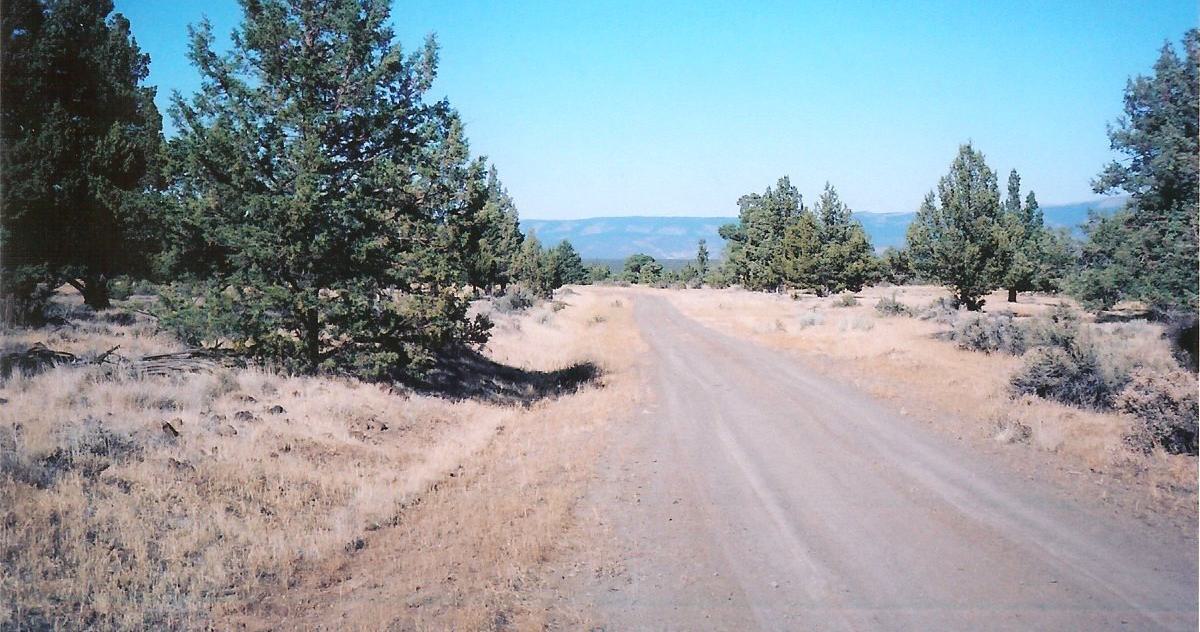 MODOC B30 L36--CALIFORNIA