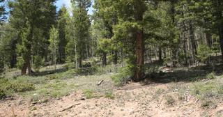 5.9 acres of land for sale in Costilla County, Colorado - SDCR B254 L5702 Unit U-2, photo 10 of 10