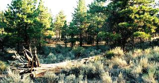 1.57 acres of land for sale in Klamath County, Oregon - SRVA B6 L21, photo 16 of 19
