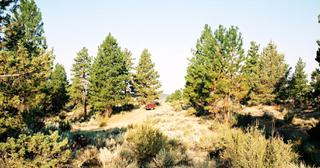 1.57 acres of land for sale in Klamath County, Oregon - SRVA B6 L21, photo 17 of 19