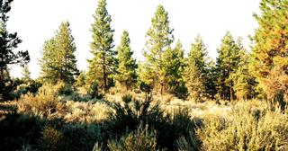 1.57 acres of land for sale in Klamath County, Oregon - SRVA B6 L21, photo 18 of 19