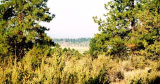 1.57 acres of land for sale in Klamath County, Oregon - SRVA B6 L21, photo 1 of 19