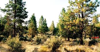 1.57 acres of land for sale in Klamath County, Oregon - SRVA B6 L21, photo 19 of 19