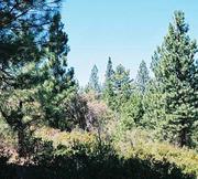 2.25 acres of land for sale in Klamath County, Oregon - KFFE B130 L5