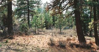 2.25 acres of land for sale in Klamath County, Oregon - KFFE B130 L5, photo 2 of 10