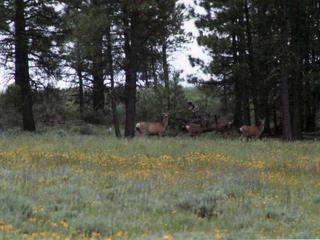 Klamath County