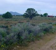 1.48 acres of land for sale in Klamath County, Oregon - Nimrod B31 L98