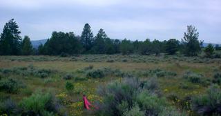 1.48 acres of land for sale in Klamath County, Oregon - Nimrod B31 L98, photo 2 of 12