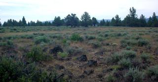 1.48 acres of land for sale in Klamath County, Oregon - Nimrod B31 L98, photo 5 of 12