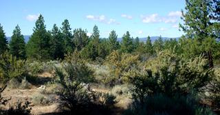 1.57 acres of land for sale in Klamath County, Oregon - SRVA B6 L21, photo 9 of 19