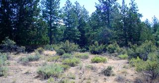 1.57 acres of land for sale in Klamath County, Oregon - SRVA B6 L21, photo 10 of 19