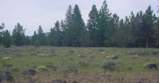 1.48 acres of land for sale in Klamath County, Oregon - Nimrod B31 L98, photo 6 of 12