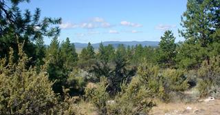 1.57 acres of land for sale in Klamath County, Oregon - SRVA B6 L21, photo 13 of 19