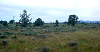 1.48 acres of land for sale in Klamath County, Oregon - Nimrod B31 L98, photo 9 of 12