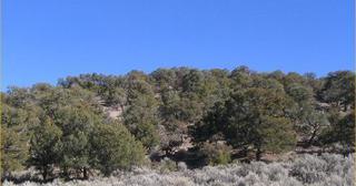 5.15 acres of land for sale in Costilla County, Colorado - SDCR B205 L4025 Unit E-2, photo 3 of 9