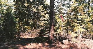 5.15 acres of land for sale in Costilla County, Colorado - SDCR B205 L4025 Unit E-2, photo 4 of 9
