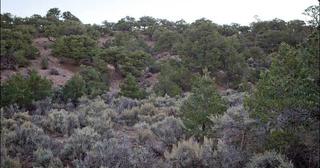 5.15 acres of land for sale in Costilla County, Colorado - SDCR B205 L4025 Unit E-2, photo 5 of 9