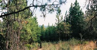 1.22 acres of land for sale in Klamath County, Oregon - FMP B22 L8, photo 4 of 6
