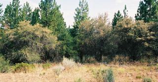 1.22 acres of land for sale in Klamath County, Oregon - FMP B22 L8, photo 6 of 6