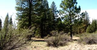 2.3 acres of land for sale in Klamath County, Oregon - KFFE Unit 2 B49 L23, photo 8 of 13