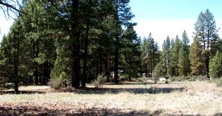 2.3 acres of land for sale in Klamath County, Oregon - KFFE Unit 2 B49 L23, photo 9 of 13