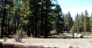 2.3 acres of land for sale in Klamath County, Oregon - KFFE Unit 2 B49 L23, photo 10 of 13