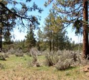 2.22 acres of land for sale in Klamath County, Oregon - KFFE Unit 2 B36 L26