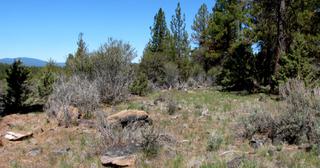 2.22 acres of land for sale in Klamath County, Oregon - KFFE Unit 2 B36 L26, photo 2 of 17