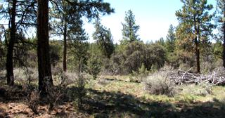 2.22 acres of land for sale in Klamath County, Oregon - KFFE Unit 2 B36 L26, photo 4 of 17