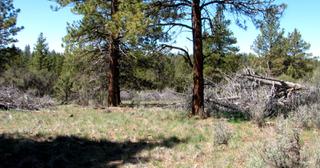2.22 acres of land for sale in Klamath County, Oregon - KFFE Unit 2 B36 L26, photo 5 of 17