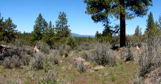 2.22 acres of land for sale in Klamath County, Oregon - KFFE Unit 2 B36 L26, photo 6 of 17