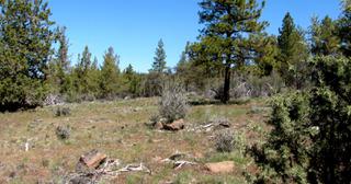 2.22 acres of land for sale in Klamath County, Oregon - KFFE Unit 2 B36 L26, photo 9 of 17